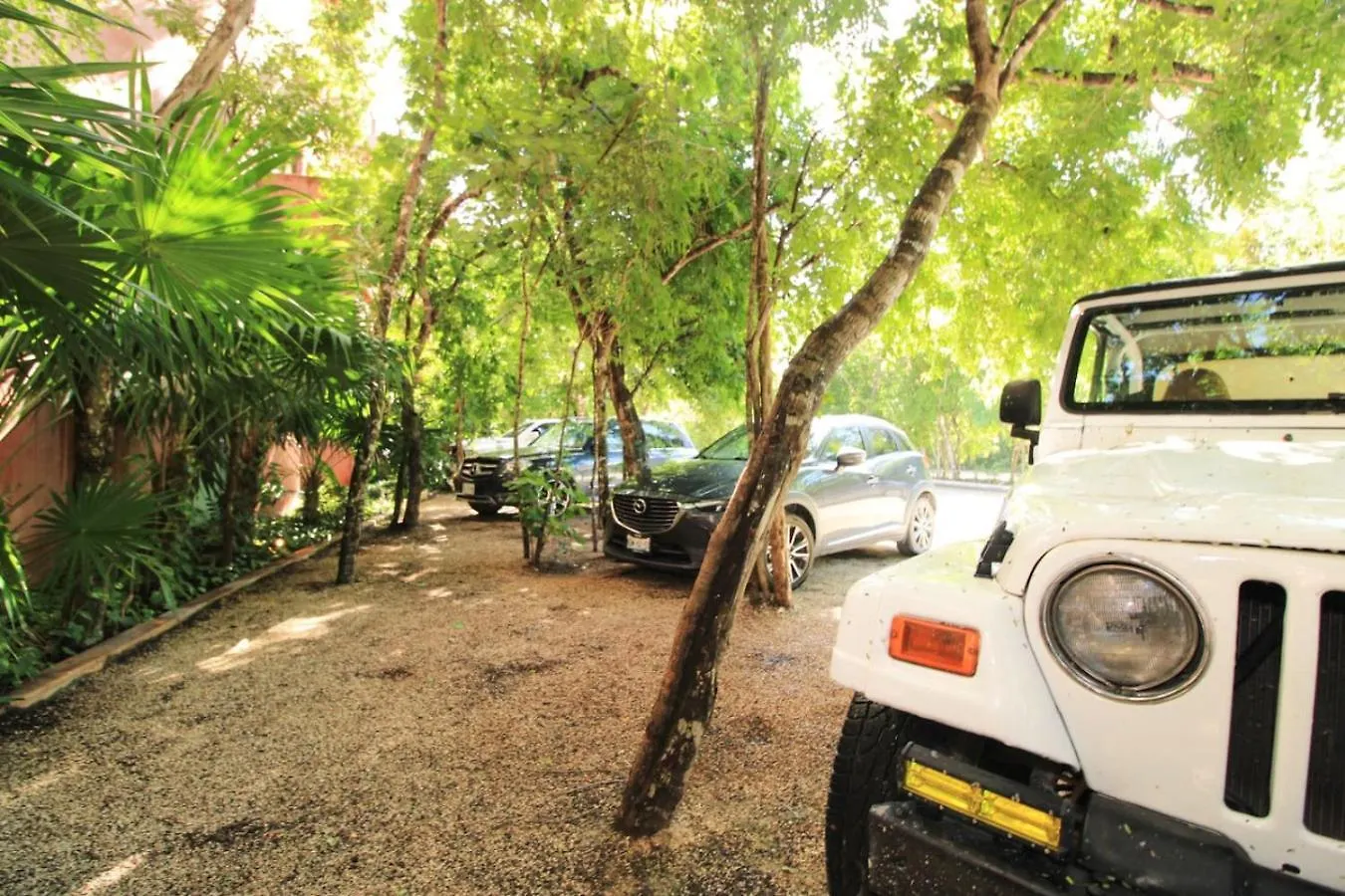 Vibrant 2Br Condo In Tulum Coolest Location 0*,  Mexiko