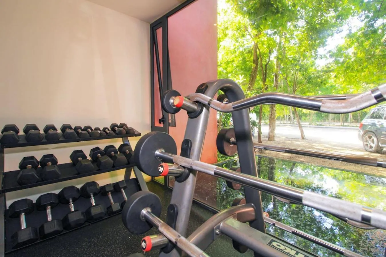Vibrant 2Br Condo In Tulum Coolest Location
